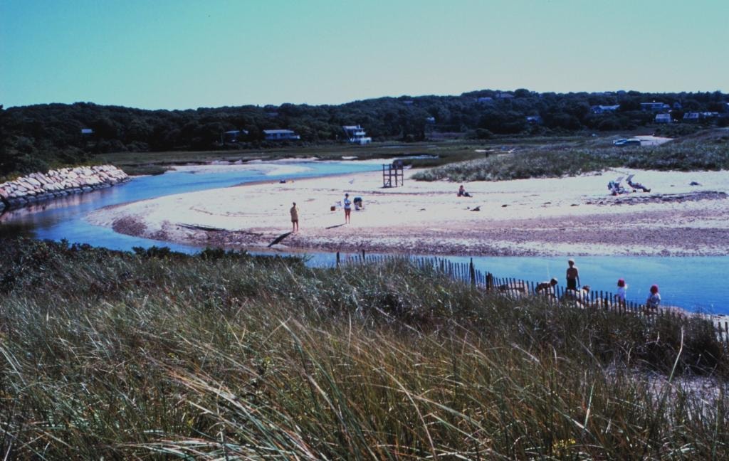 Woodneck Beach
